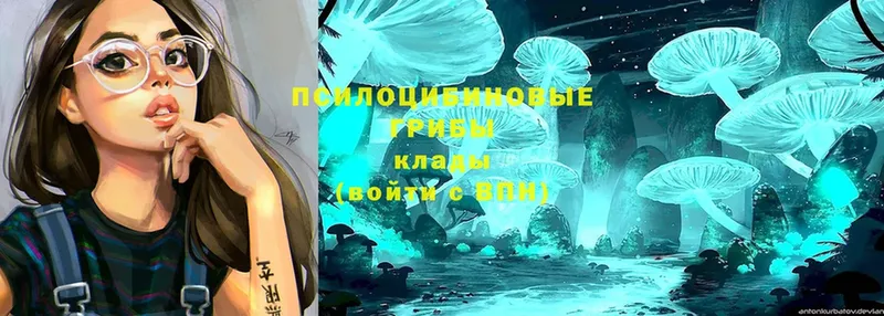 Галлюциногенные грибы Magic Shrooms  Кубинка 